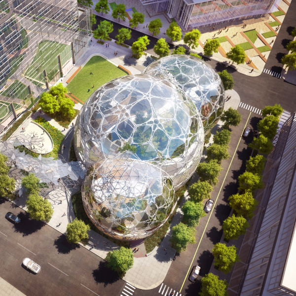 Amazon