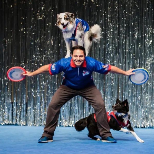 chris-perondis-stunt-dog-experience___30190740178 (1).jpg