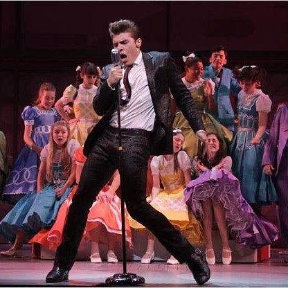 Bye Bye Birdie
