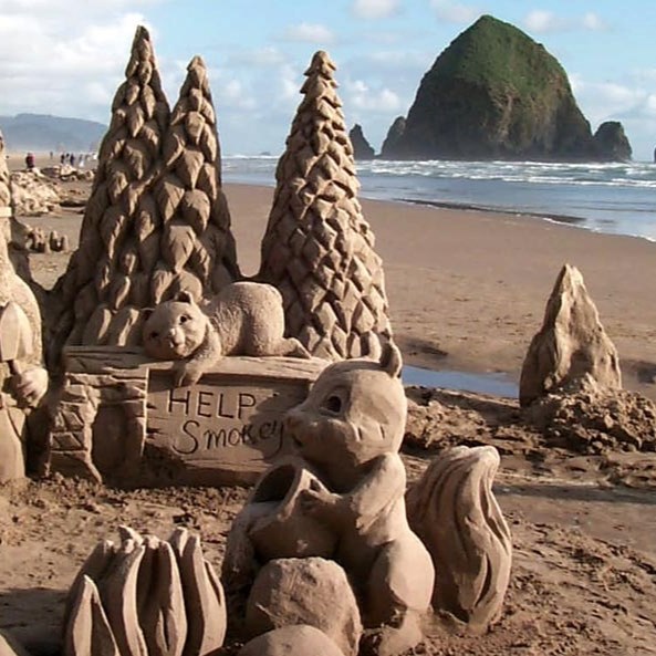 Cannon Beach Sand Cast