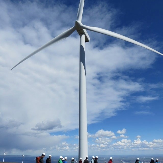 WIND FARM