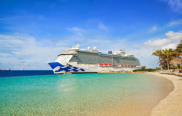 istockphoto-1071144616-612x612.jpg