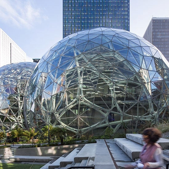 amazon