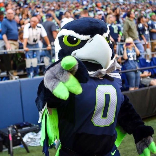 Seahawks Mascot
